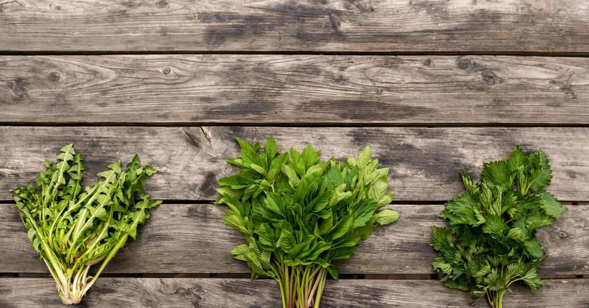 Top view of various fresh green herbs on a rustic wooden surface.