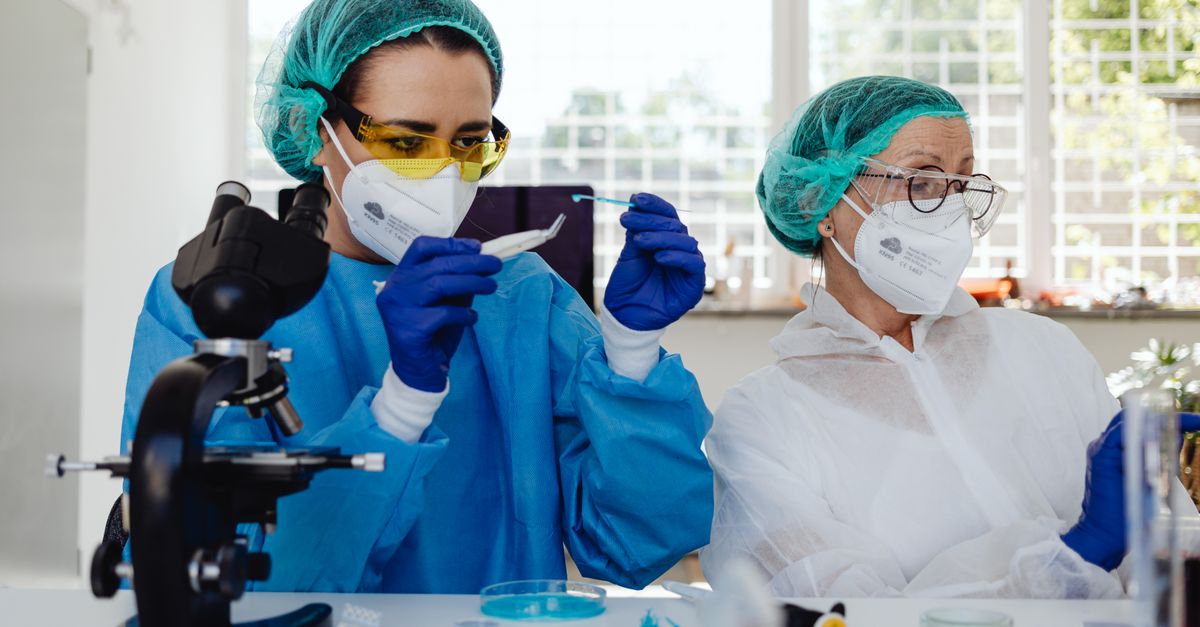 Two female scientists wearing PPE working in a lab with a microscope and petri dishes.